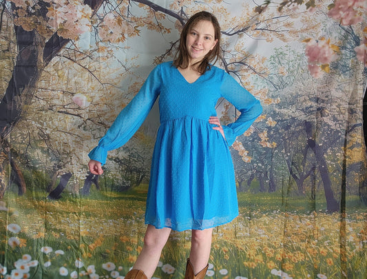 Swiss Dot Dress