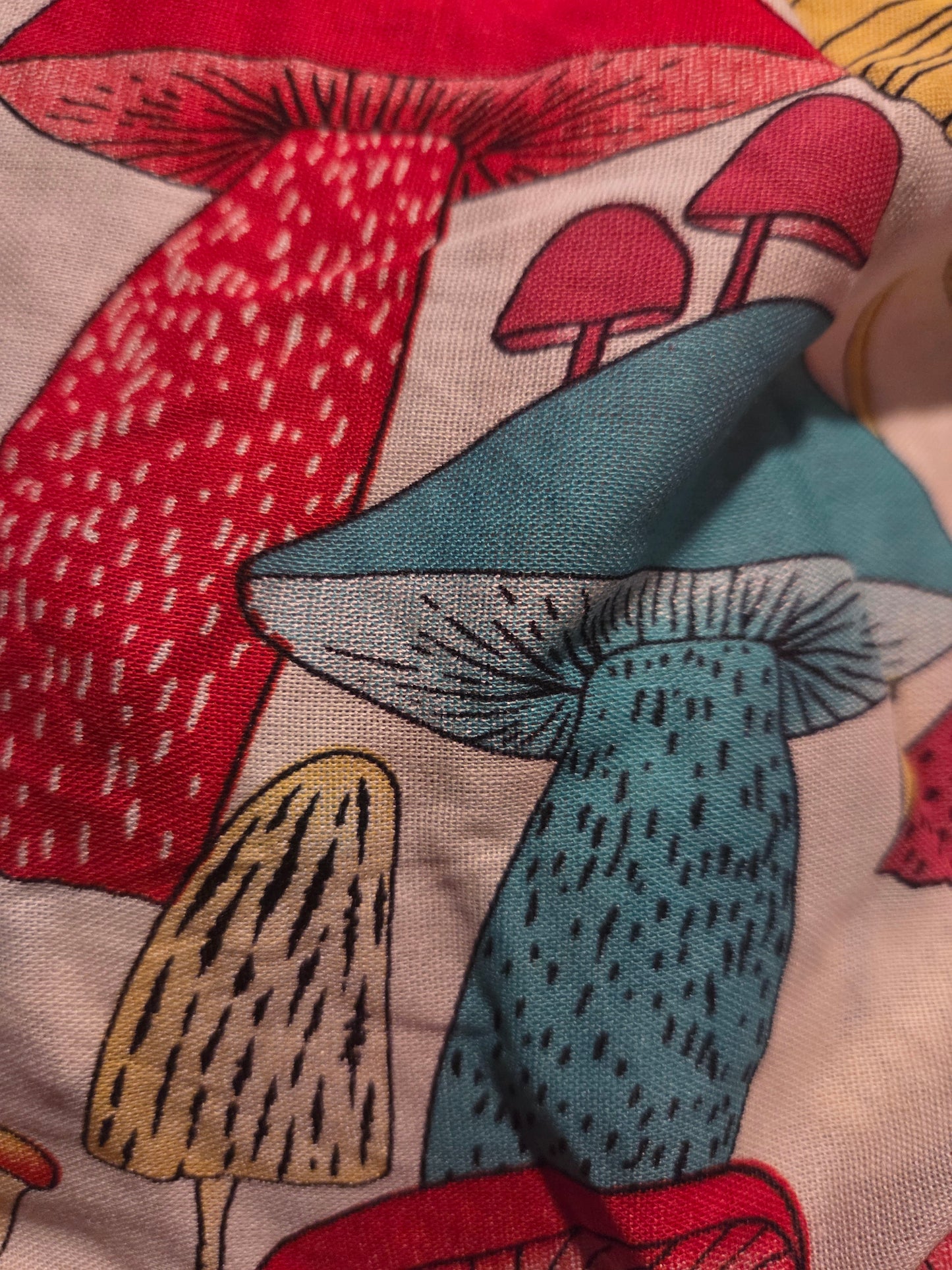 "I'm a Fungi" 2 Pc Mushroom Outfit
