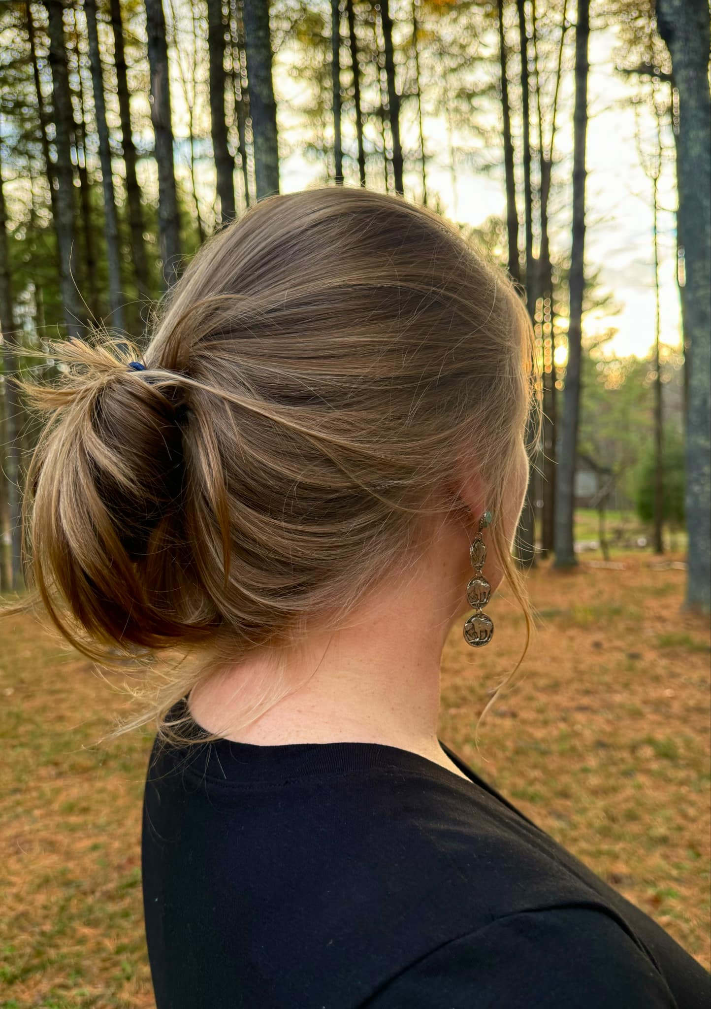 Buffalo Nickel Earrings